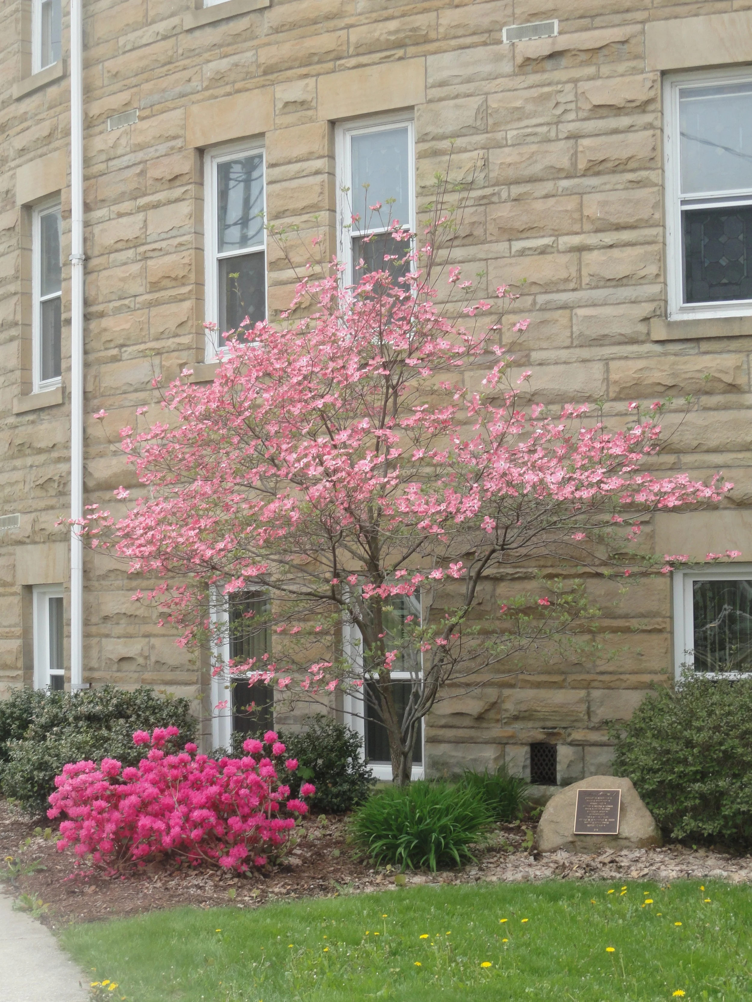 First United Methodist Church, Norwalk, Ohio